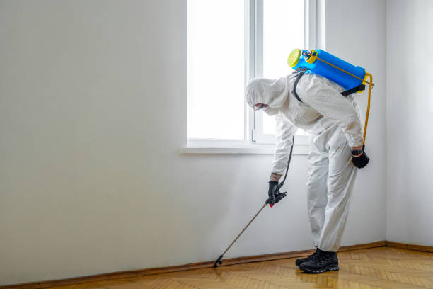 Best Pest Prevention Services  in Havana, FL